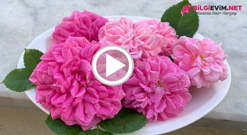 Pespembe Gül Reçeli Yapılışı Videolu Anlatım