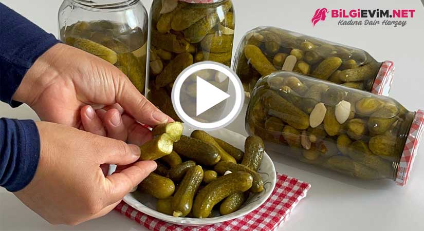 Çıtır Çıtır Kornişon Turşusu Yapılışı Videolu Anlatım