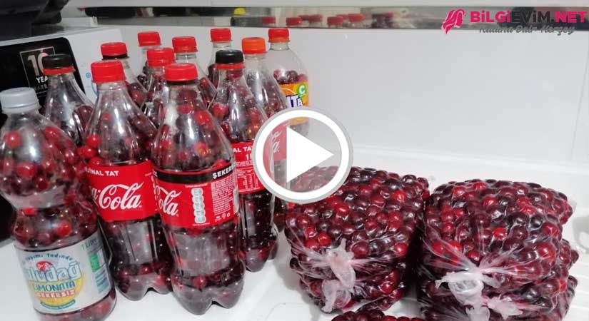 Dondurucuda Kışlık Vişne Saklama Yöntemi Videolu Anlatım