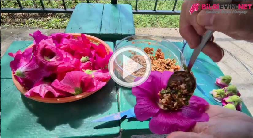 Hatmi çiçeği Dolaması Videolu Anlatım