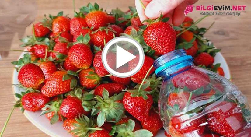 Çilekleri 1 Yıl Böyle Saklıyorum! Tazesinden Bile Daha Lezzetli  Kışlık Çilek Tarifi