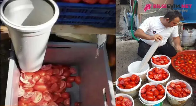 1 Dakikada   20 Kg Salçalık Domates Doğrama Videolu Anlatım