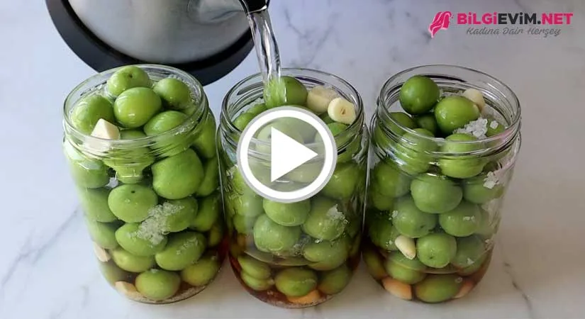 Kaynar Su İle Kütür Kütür Erik Turşusu Yapılışı Videolu Anlatım
