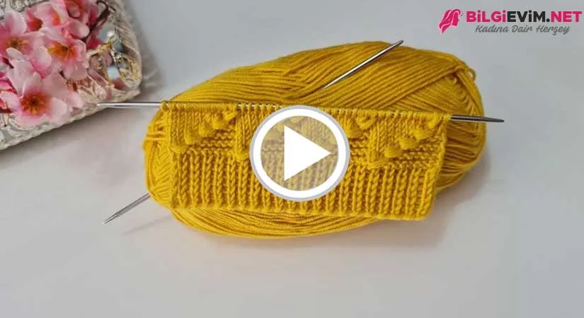 İzlenme Rekoru Kıran Bayan Yelek Modeli Videolu Anlatım