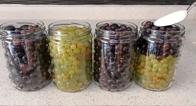 Kış İçin Üzüm Kompostosu Yapılışı Videolu Anlatım