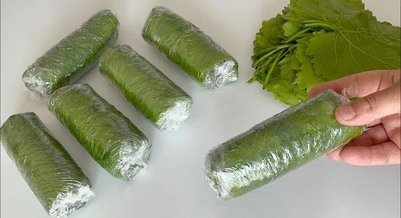 Buzlukta Üzüm Yaprağı Nasıl Saklanır? – Haşlamadan, Tuzsuz, Kolay ve Pratik Yöntem