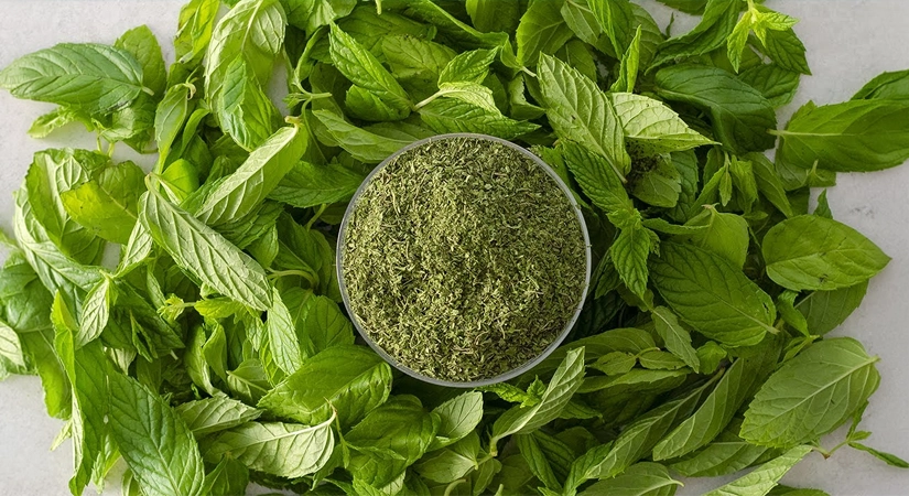Evde Yemyeşil Nane Kurutma Yöntemi! Kararmadan ve Aromasını Kaybetmeden Kurutmanın Püf Noktaları
